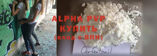 индика Магас