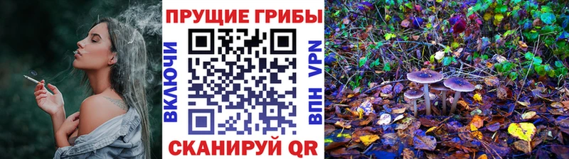 Псилоцибиновые грибы Magic Shrooms  Красный Кут 