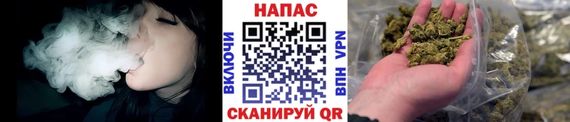 Бошки марихуана план  где купить наркотик  Красный Кут 